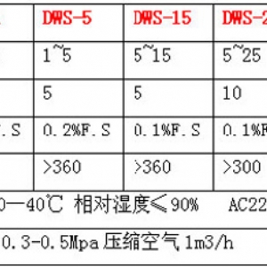 DWS-100電腦定量包裝機(jī)